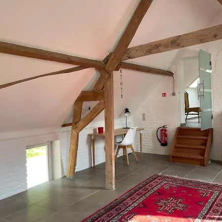 La Canopee Des Arbres, Juliette Апартаменты Ellezelles