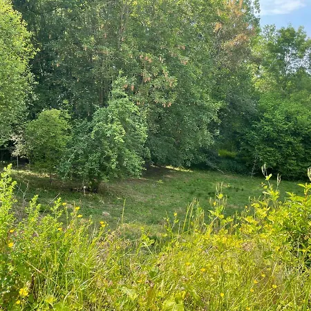 La Canopee Des Arbres, Juliette * Ellezelles