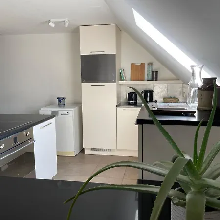 La Canopee Des Arbres, Juliette * Ellezelles