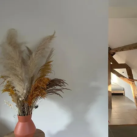 La Canopee Des Arbres, Juliette * Ellezelles