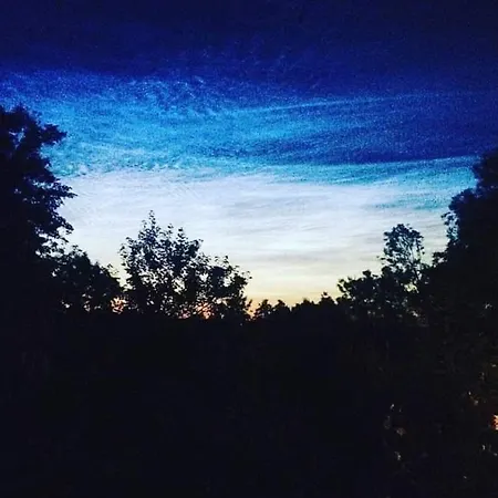 Апартаменты La Canopee Des Arbres, Juliette Ellezelles