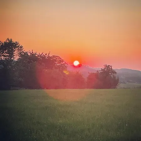 Апартаменты La Canopee Des Arbres, Juliette