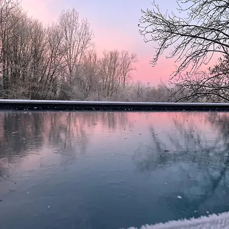 La Canopee Des Arbres, Juliette *