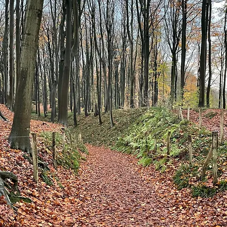 Апартаменты La Canopee Des Arbres, Juliette