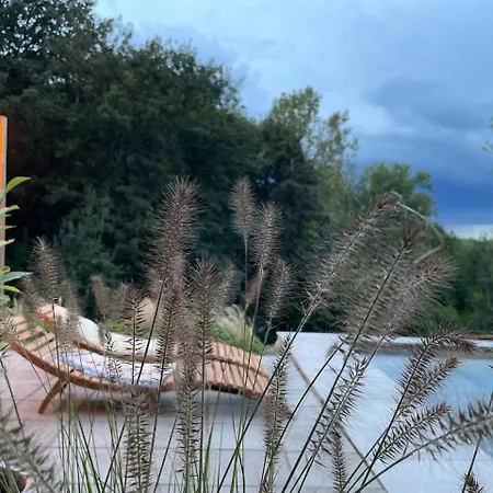 La Canopee Des Arbres, Juliette *
