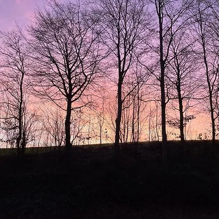 La Canopée Des Arbres, Juliette
