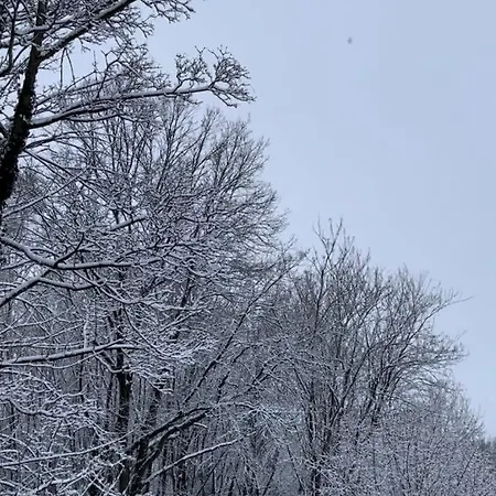La Canopee Des Arbres, Juliette Appartement *