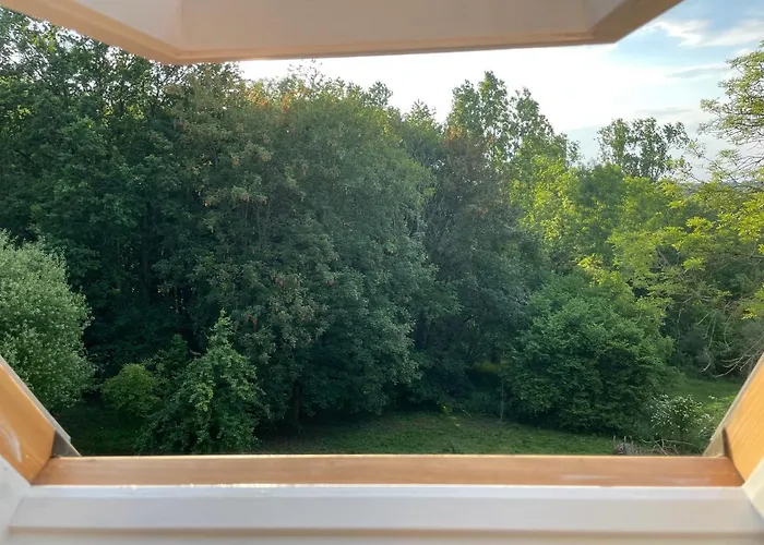 La Canopée Des Arbres, Juliette Appartement