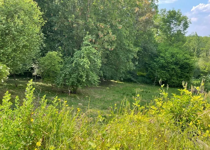 La Canopée Des Arbres, Juliette * Ellezelles