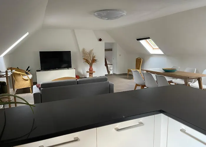 La Canopée Des Arbres, Juliette Ellezelles