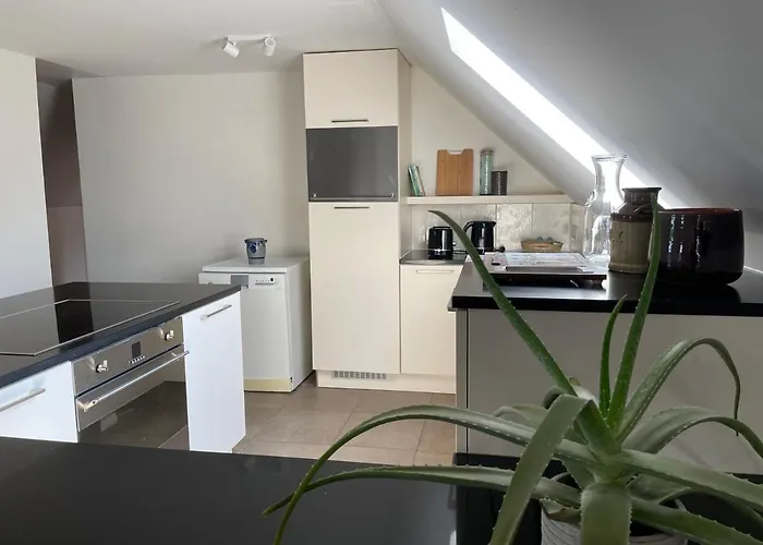 La Canopée Des Arbres, Juliette * Ellezelles