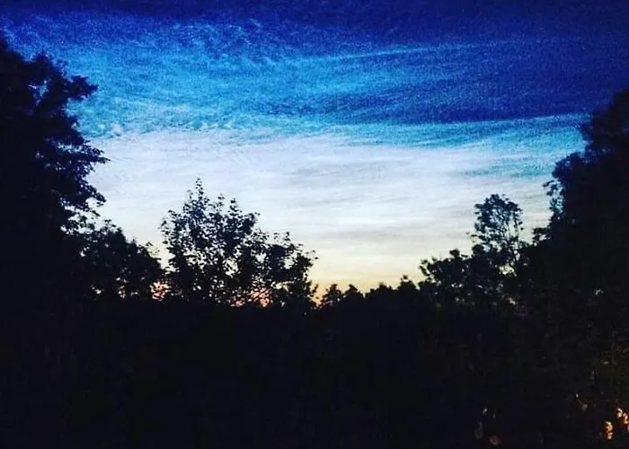 Appartement La Canopée Des Arbres, Juliette Ellezelles