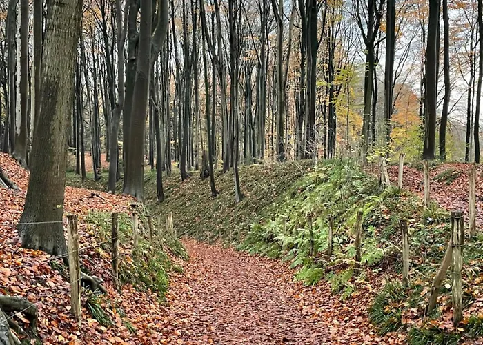 Appartement La Canopée Des Arbres, Juliette