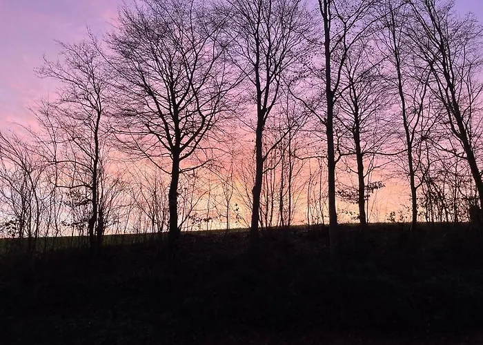 La Canopée Des Arbres, Juliette